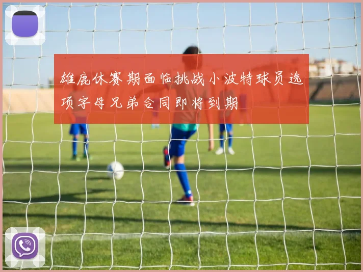 雄鹿休赛期面临挑战小波特球员选项字母兄弟合同即将到期